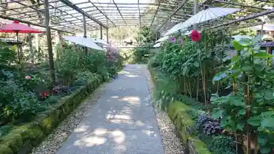 上野東照宮の周辺