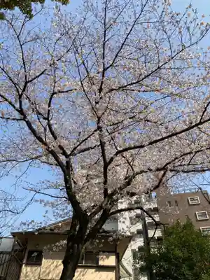 蒲田八幡神社の自然