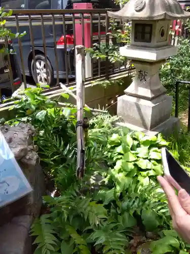 稲荷鬼王神社(東京都)
