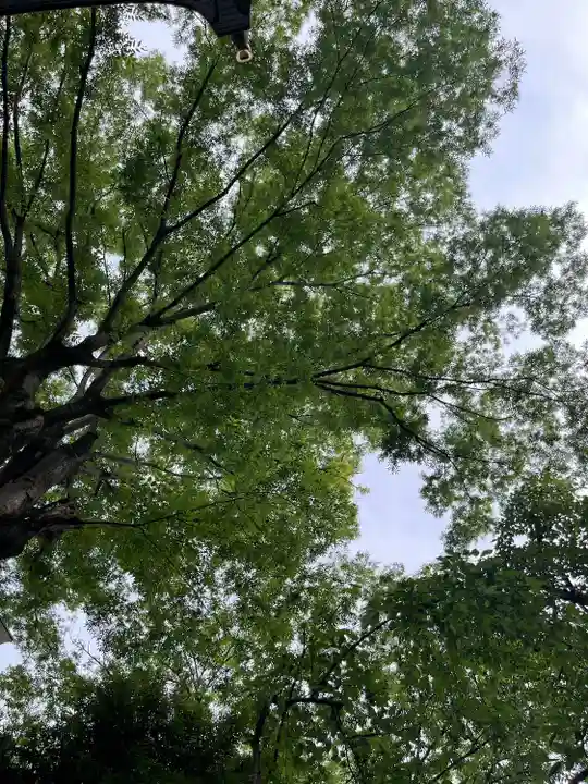 金刀比羅神社(東京都)