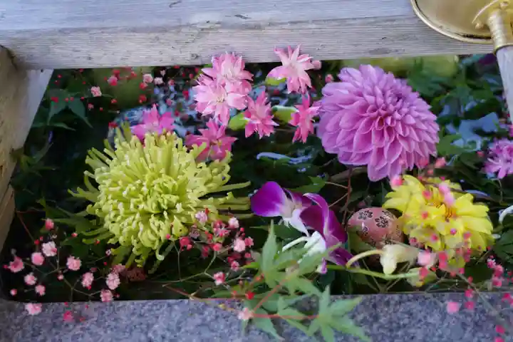 豊景神社の手水舎