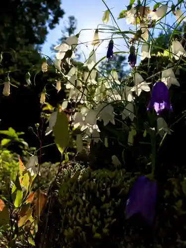 宝積山光前寺の自然