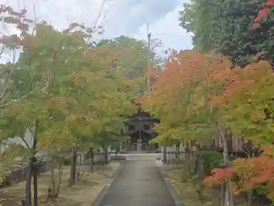 仁和寺(京都府)