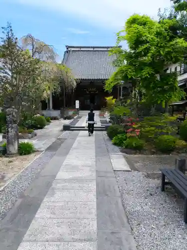 浄鏡寺の{uncategorized: "未分類", other: "その他", undefined: "問題あり", building: "その他建物", grave: "お墓", sacred_gate: "鳥居", guardian: "狛犬", statue: "像", buddha: "仏像", history: "歴史", nature: "自然", garden: "庭園", animal: "動物", pagoda: "塔", temizu: "手水舎", mountain_gate: "山門・神門", sanctuary: "本殿・本堂", subordinate: "末社・摂社", art: "芸術", scenery: "景色", jizo: "地蔵", ema: "絵馬", goshuin: "御朱印", omikuji: "おみくじ", items: "授与品その他", amulet: "お守り", goshuincho: "御朱印帳", eats: "食事", festival: "お祭り", votive_dance: "神楽", shichigosan: "七五三参", wedding: "結婚式", experience: "体験その他", initially: "初詣", around: "周辺", anti_infection: "感染症対策"}