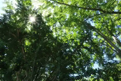 熊野福藏神社の景色