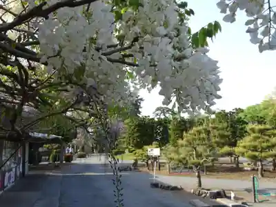 牡丹稲荷神社の自然