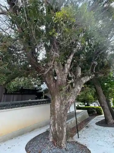 五字神社(大阪府)