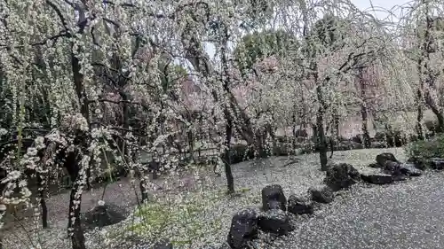 城南宮(京都府)