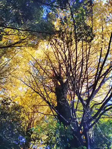 正松神社(東京都)