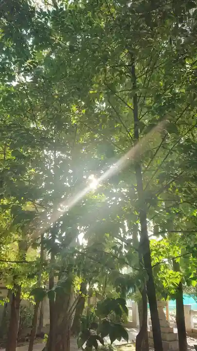 宗形神社の景色