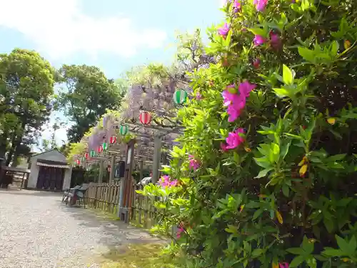 惣社神社の自然