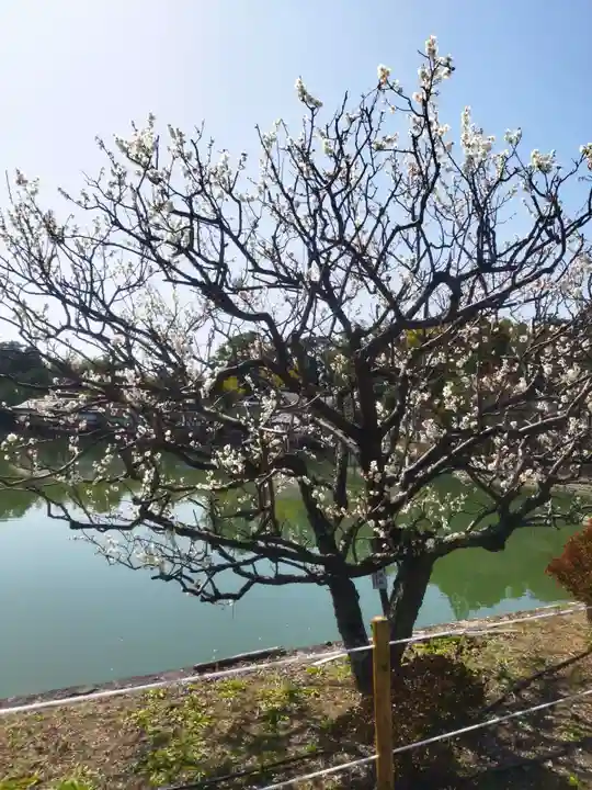 長岡天満宮(京都府)