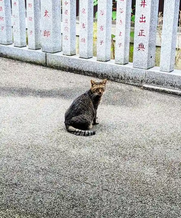 白金氷川神社の動物