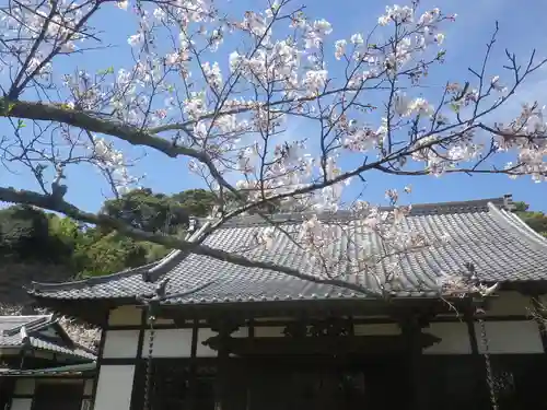浄光明寺の本殿・本堂