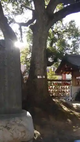 養福寺の自然