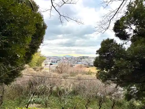 豊神社の景色