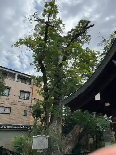 白峯神宮(京都府)