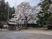 北野天神社のその他建物