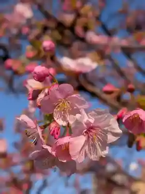 繁榮稲荷神社(東京都)