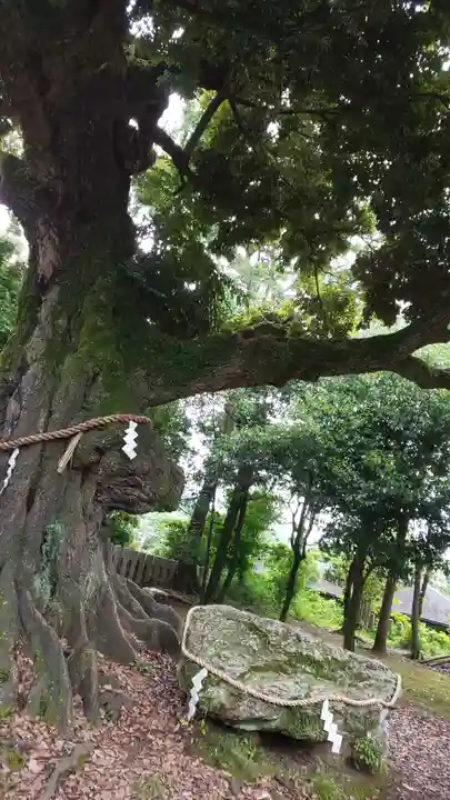 新日吉神宮のその他建物