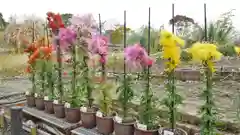 半木神社の庭園