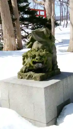 羽幌神社の狛犬