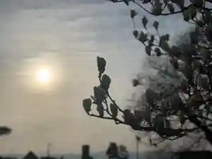 法源寺の自然(2020年03月13日(金) 12時33分37秒投稿)