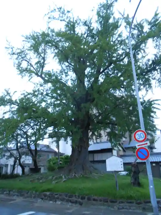 津島神社 御旅所跡(愛知県)