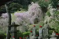 南原寺(山口県)