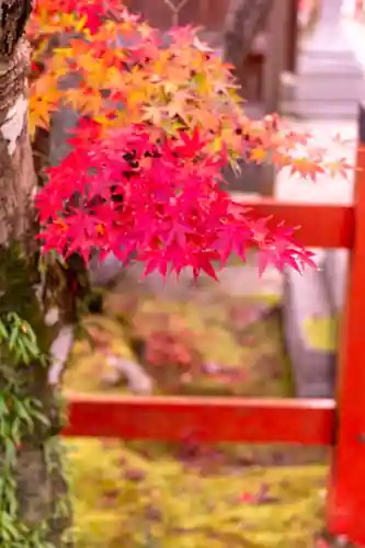 大原野神社(京都府)