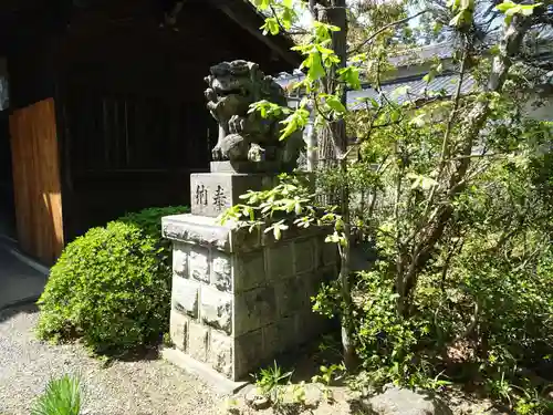 好間熊野神社の狛犬