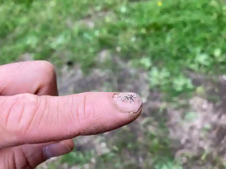 蓮久寺(千葉県)