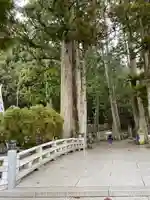 高野山金剛峯寺奥の院(和歌山県)