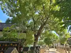 鴨高田神社(大阪府)