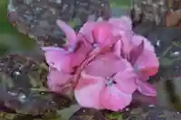 国宝 大法寺(長野県)