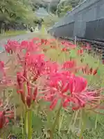 横浜 西方寺の自然