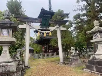 春日若宮神社の{uncategorized: "未分類", other: "その他", undefined: "問題あり", building: "その他建物", grave: "お墓", sacred_gate: "鳥居", guardian: "狛犬", statue: "像", buddha: "仏像", history: "歴史", nature: "自然", garden: "庭園", animal: "動物", pagoda: "塔", temizu: "手水舎", mountain_gate: "山門・神門", sanctuary: "本殿・本堂", subordinate: "末社・摂社", art: "芸術", scenery: "景色", jizo: "地蔵", ema: "絵馬", goshuin: "御朱印", omikuji: "おみくじ", items: "授与品その他", amulet: "お守り", goshuincho: "御朱印帳", eats: "食事", festival: "お祭り", votive_dance: "神楽", shichigosan: "七五三参", wedding: "結婚式", experience: "体験その他", initially: "初詣", around: "周辺", anti_infection: "感染症対策"}