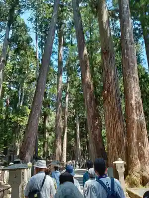 高野山金剛峯寺奥の院(和歌山県)