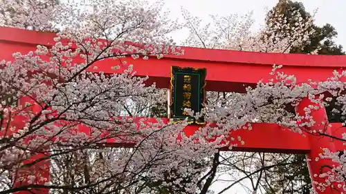 冠稲荷神社の鳥居