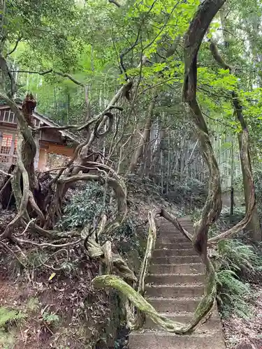 玉作湯神社(島根県)