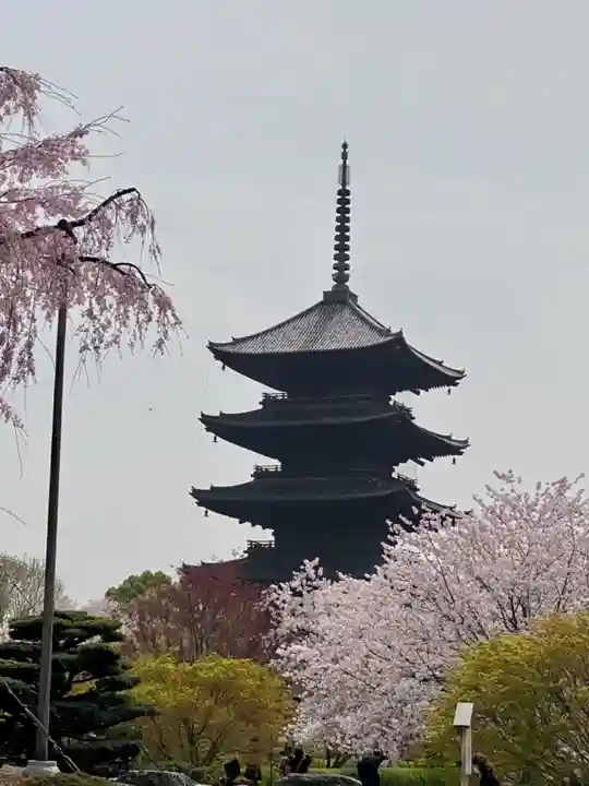 東寺(教王護国寺)の塔