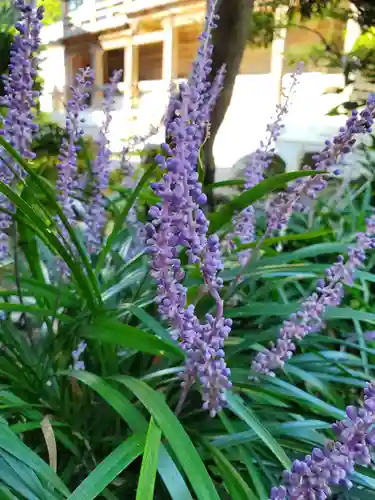 沙沙貴神社(滋賀県)