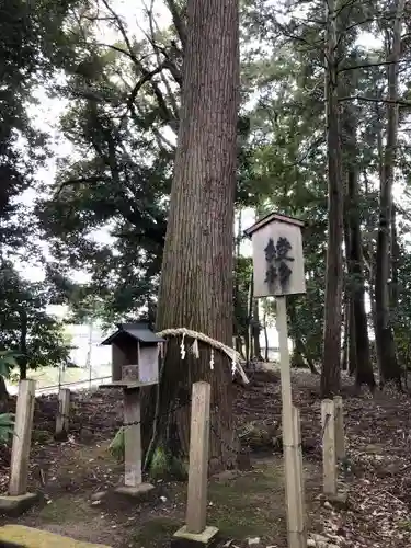 綾部八幡宮の自然