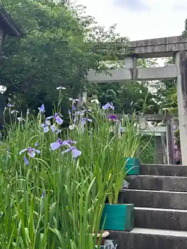 宮地嶽神社(福岡県)