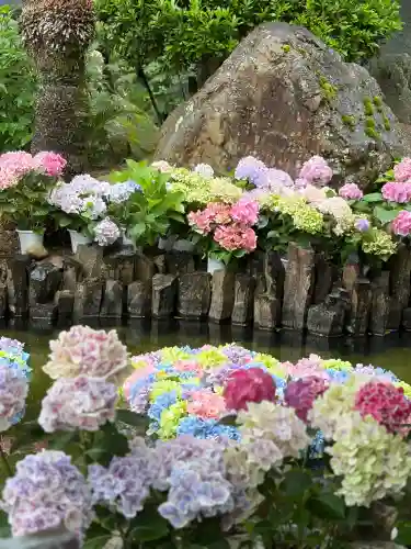 楽法寺（雨引観音）(茨城県)