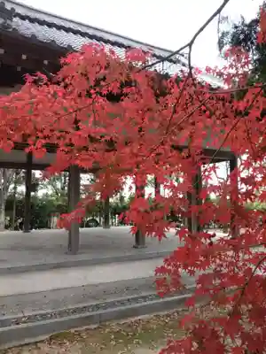 社若神社(滋賀県)