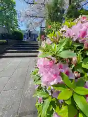 真照寺(神奈川県)