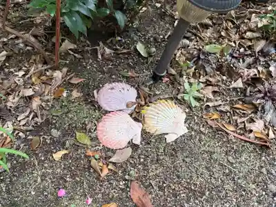 蓮花寺(大阪府)