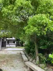 大山祇神社(福岡県)