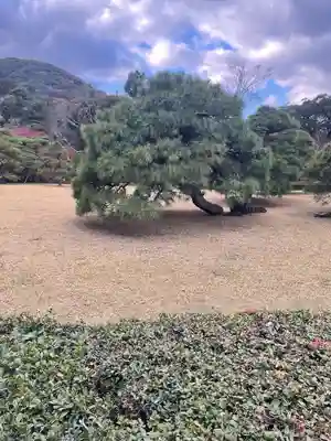 伊勢神宮内宮（皇大神宮）(三重県)